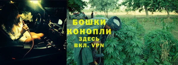 хмурый Бронницы