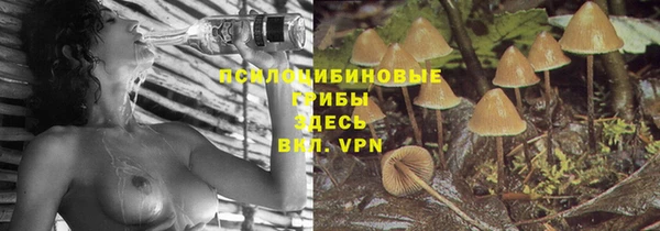 СК Бугульма