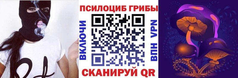 Псилоцибиновые грибы Cubensis  Вельск 